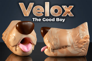 Velox the Good Boy - Naughty Fox
